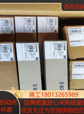 施迈赛 安全门锁 AZM201Z-I2-SK-1P2PW-D