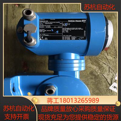 endresshauser 恩德斯豪斯质量计 prom