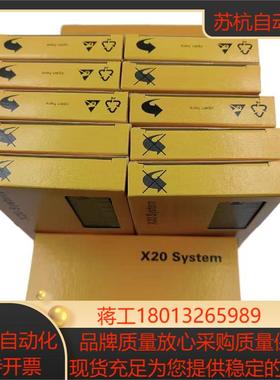 X20DS1119 全新原装贝加莱现货 X20DS1319
