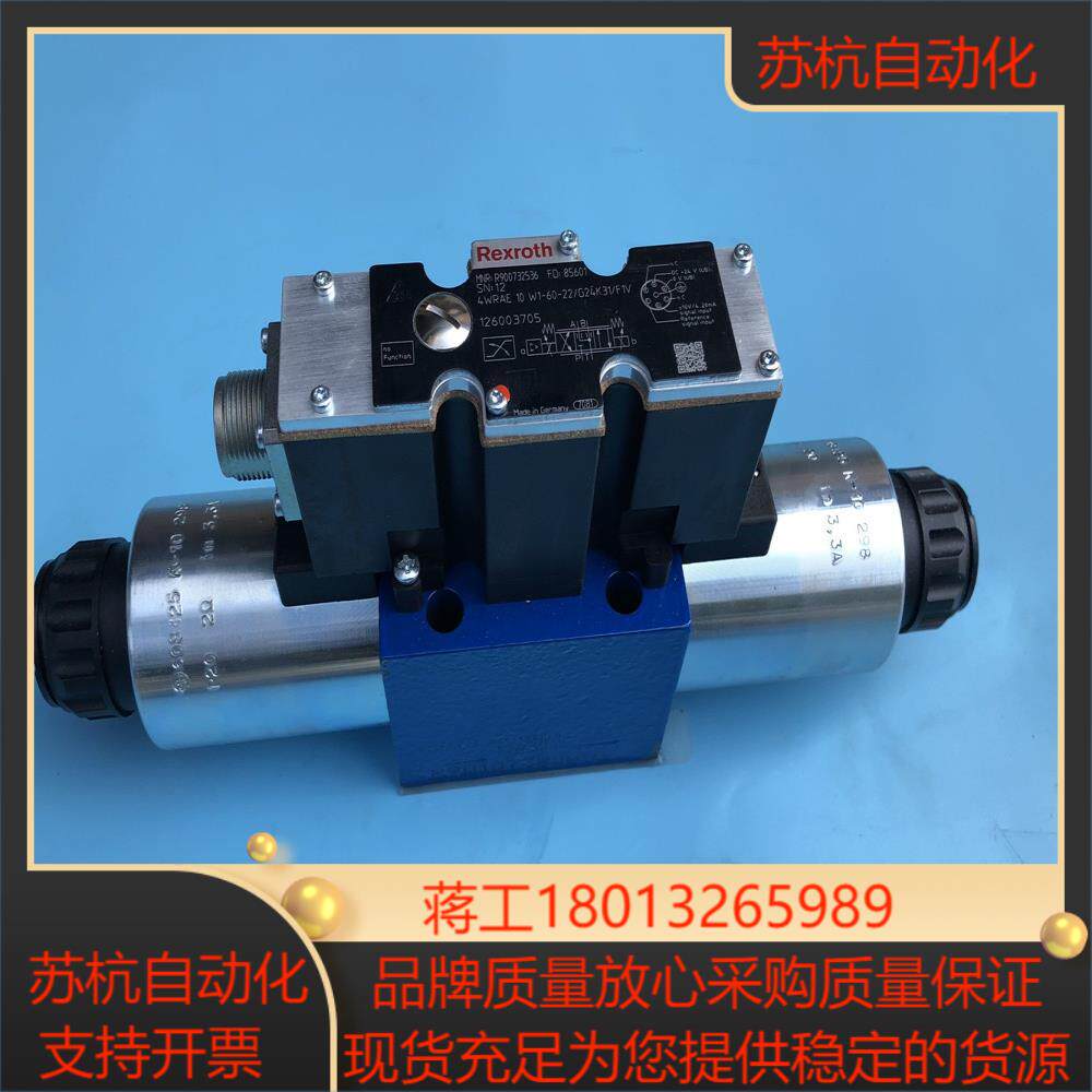 R900732536 4WRAE10W1-60-2XG24