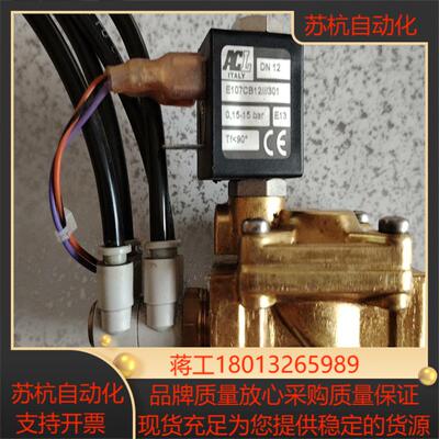 意大利acl电磁阀e107cb12301  dc24v成色