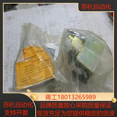 意大利特罗普斯DROPSA 1113250  filtro