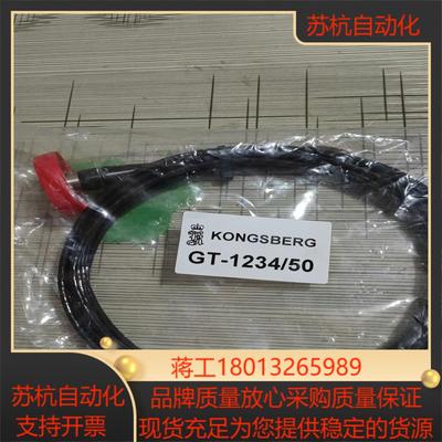 KONGSBERG康士伯GT-123450 船舶电力系统专