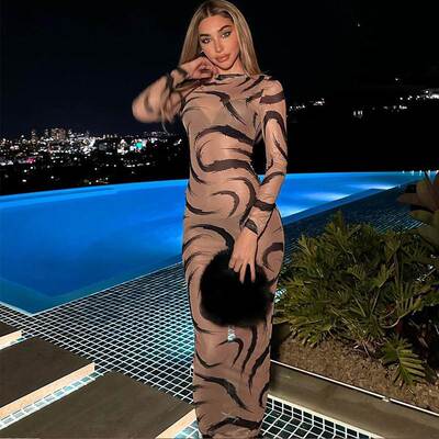 elegant See through party long dress性感修身透视包臀连衣长裙