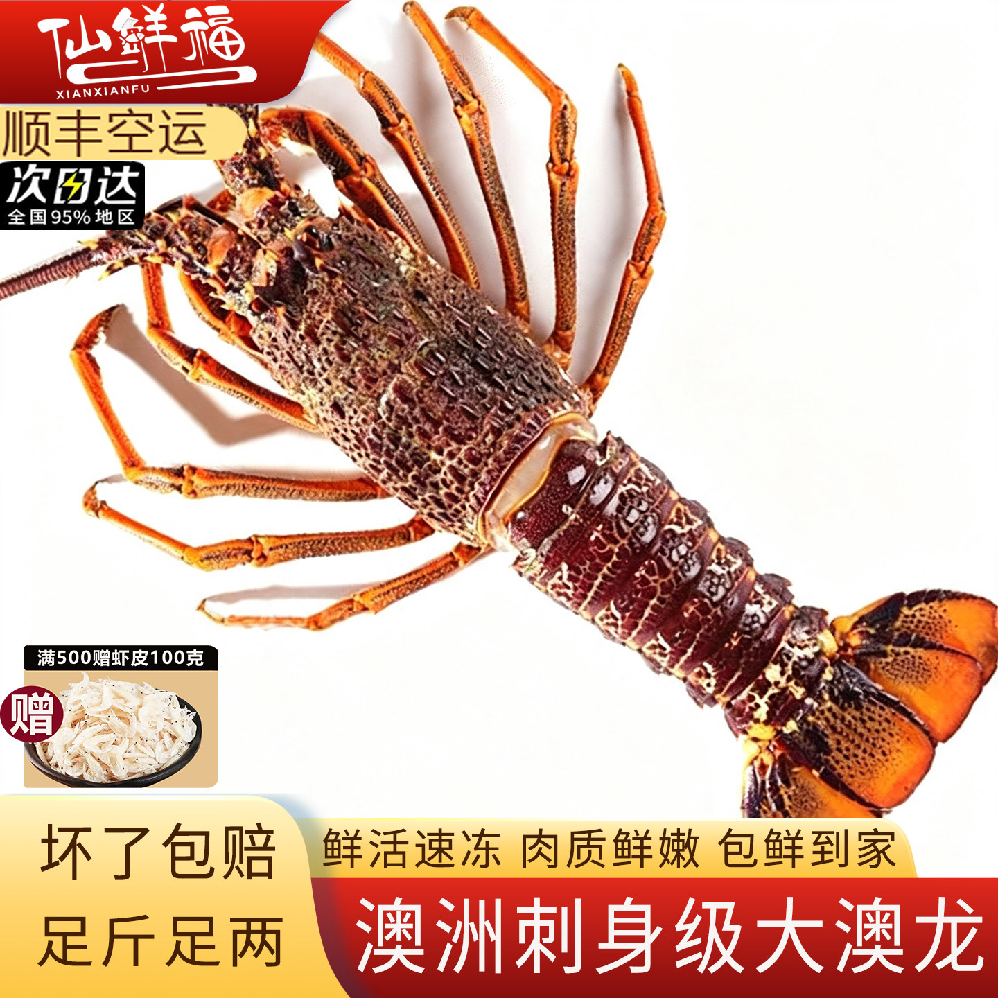 特大澳洲大龙虾澳龙鲜活冷冻海鲜2-6斤大奥龙波士顿龙虾年货送礼