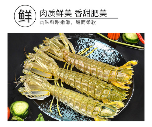 鲜活发货特大皮皮虾  顺丰空运