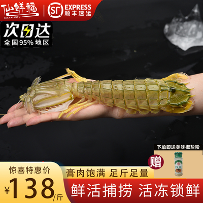 熟冻泰国超特巨型富贵海鲜水产