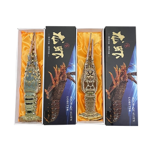 轻奢豪华大龙虾礼品盒花龙虾古巴龙虾礼品盒2-3斤龙虾可装包装盒