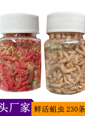 钓鱼活蛆大蛆红色蛆虫活体白蛆钓溪石斑白条溪鱼活虫蛆牙鲜活鱼饵