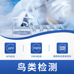 鹦鹉双病毒检测鹦鹉热衣原体检测APV PBFD单眼伤风pcr检测