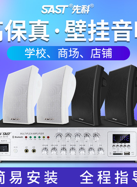 先科A6壁挂音响音箱店铺专用挂墙式蓝牙商用超市餐厅公共广播系统
