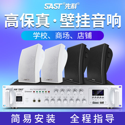 先科a6壁挂音响音箱公共广播系统