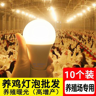 led暖光灯泡E27螺口鸡舍养殖场超亮照明替换光源节能黄光电灯泡