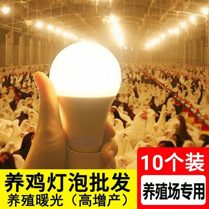 led暖光灯泡E27螺口鸡舍养殖场超亮照明替换光源节能黄光电灯泡