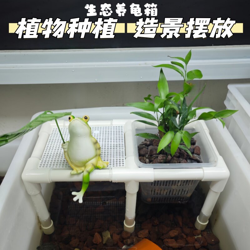 养龟箱生态龟缸定植篮水培植物托架绿植溪流造景周转箱植物置物架