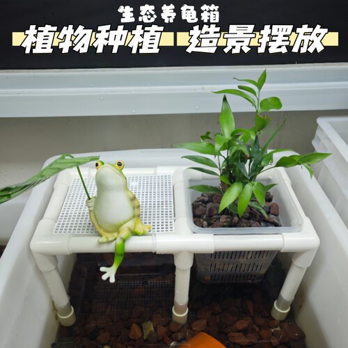 生态龟缸植物定植篮置物架