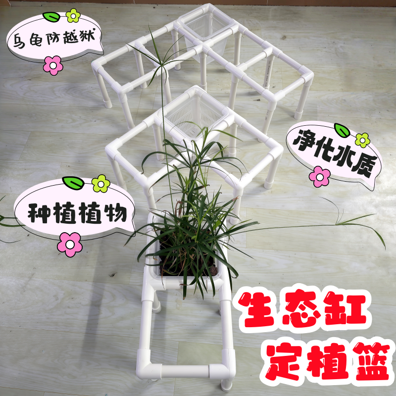 养龟箱植物种植架子生态龟箱种植
