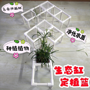 养龟箱植物种植架子生态龟箱绿植种植盒龟缸溪流环境植物造景定植