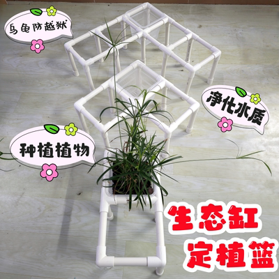 养龟箱植物种植架子生态龟箱种植
