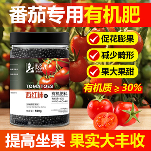 番茄专用肥料催果结果圣女果有机肥种盆栽西红柿蔬菜肥小番茄肥料
