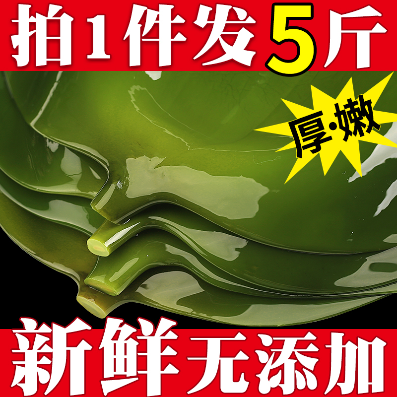 新鲜5斤海带头盐渍厚海白菜