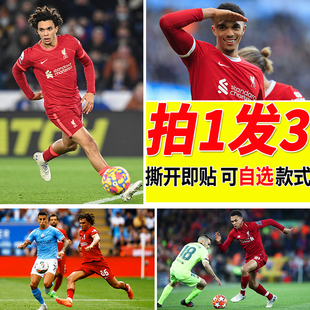 亚历山大阿诺德海报TAA周边房间大尺寸自贴壁纸墙上贴画装饰墙贴