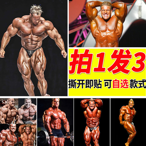 乔卡特海报健美健身房周边房间大尺寸自粘壁纸寝室装饰画墙上墙贴