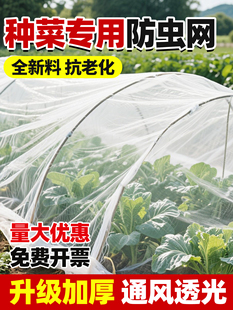种菜防虫网罩菜园农用蔬菜种植纱网菜地大棚网养殖果树果园防鸟罩