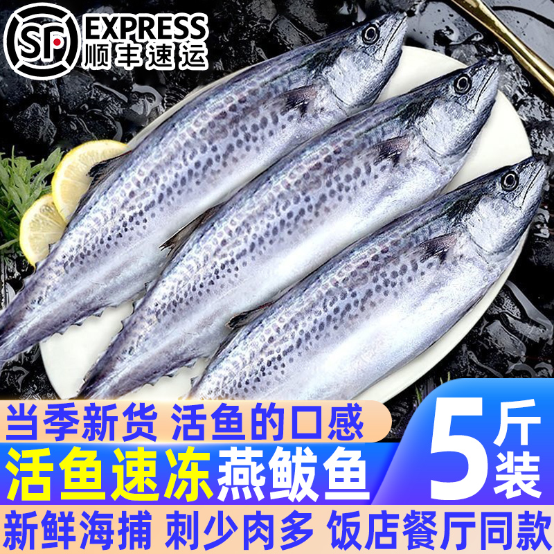 新鲜大鲅鱼特大海捕速冻马鲛鱼