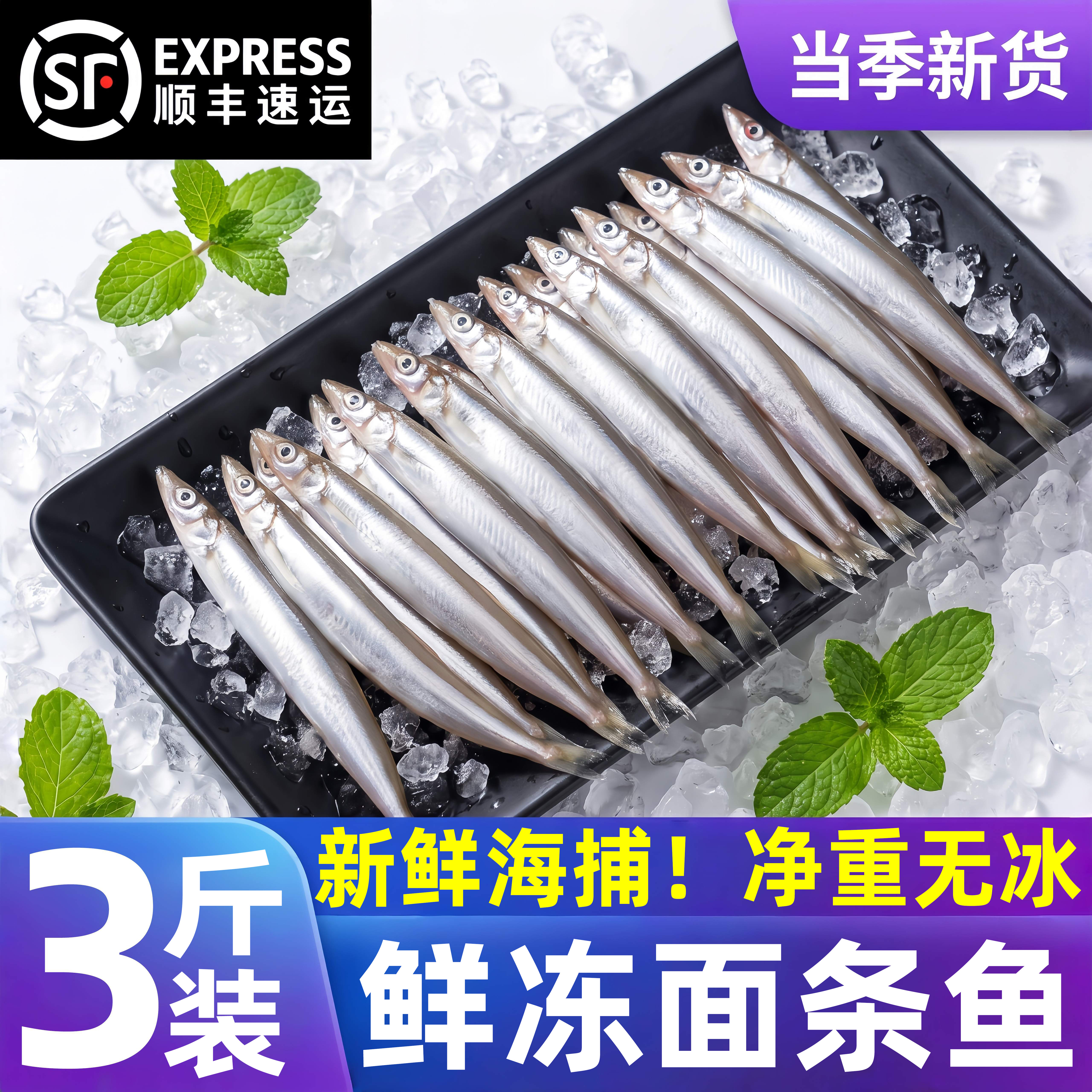 新鲜面条鱼鲜活冷冻海鱼海鲜沙丁鱼小银鱼小青鱼玉筋鱼泥鳅鱼