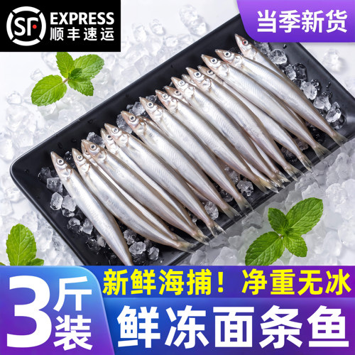 新鲜面条鱼鲜活冷冻海鱼海鲜沙丁鱼小银鱼小青鱼玉筋鱼泥鳅鱼