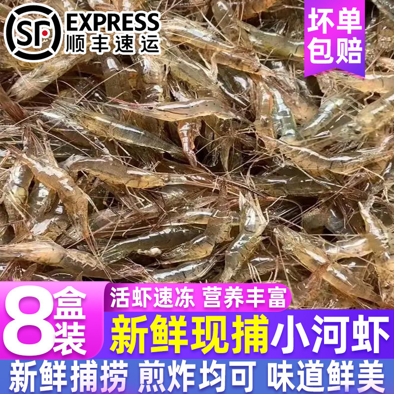 新鲜小河虾鲜活冷冻淡水虾水产小河虾青虾白虾对虾小虾批发商用