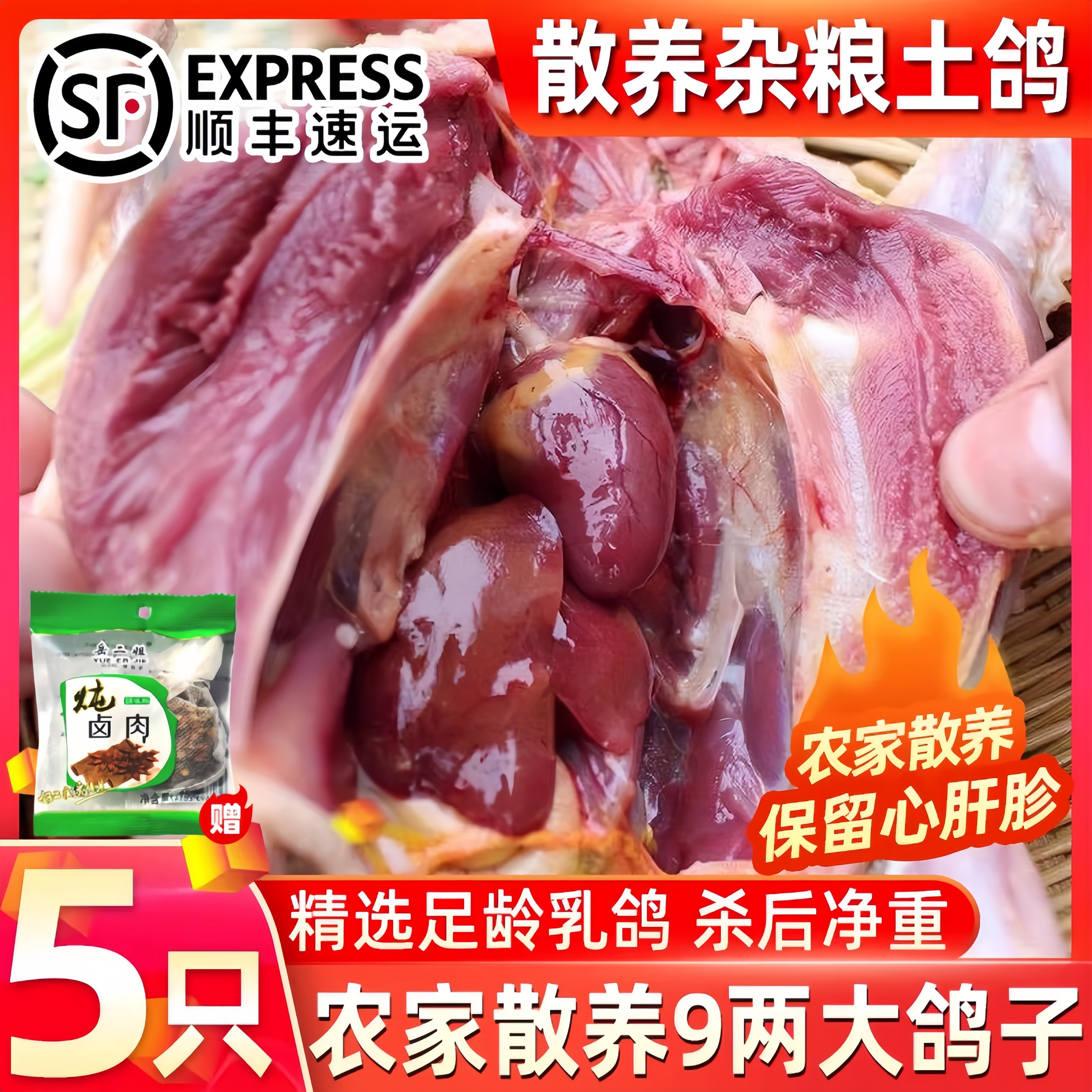 新鲜现杀乳鸽整只冷冻鸽子5只装土鸽精品老鸽子活杀乳鸽肉鸽煲汤