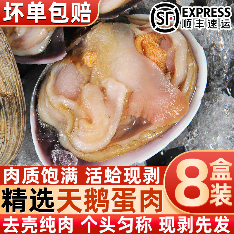 新鲜速冻现剥天鹅蛋肉贝类批发