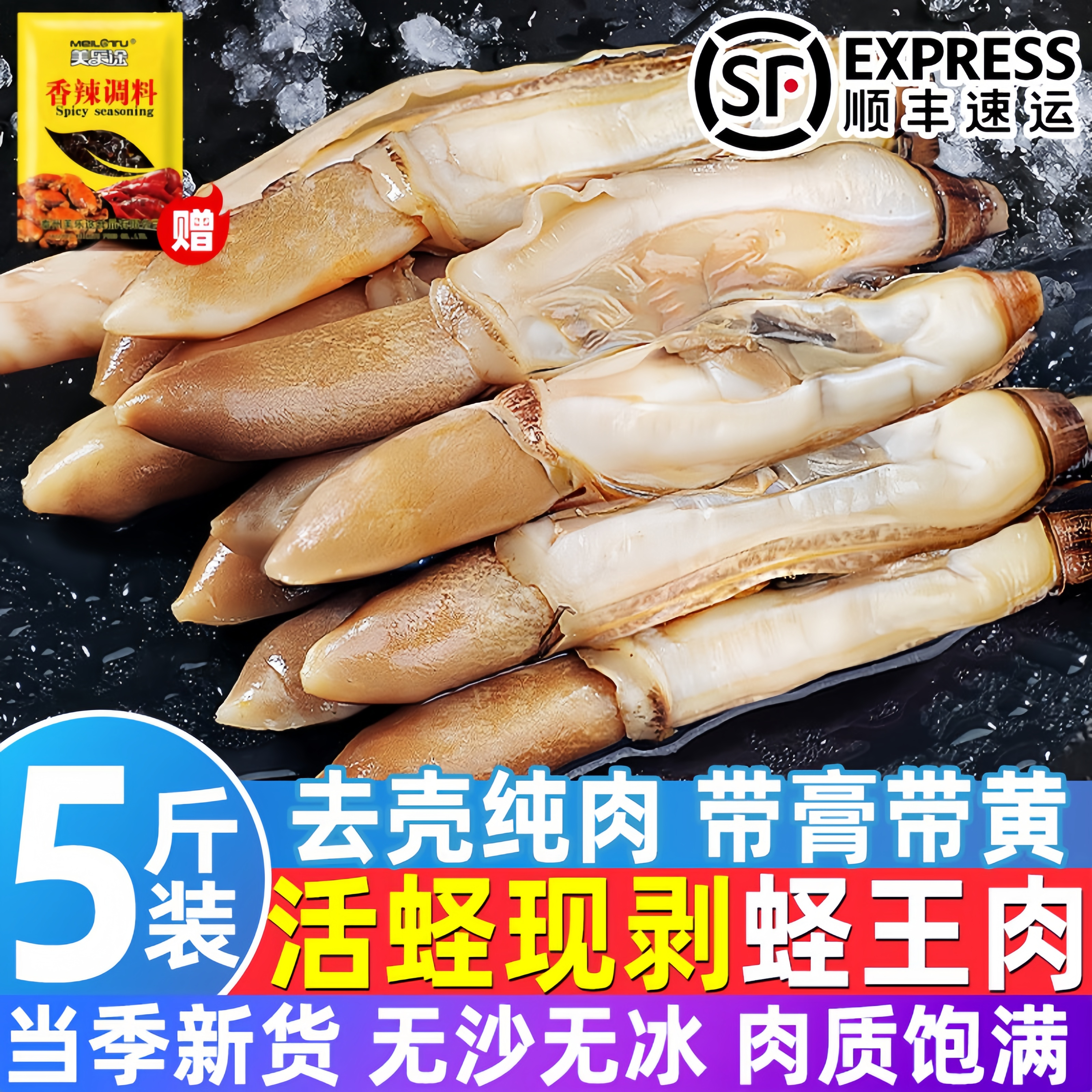 特大蛏王肉新鲜速冻干净无沙蛏子肉冷冻竹节蛏蛏子肉贝类鲜活速冻