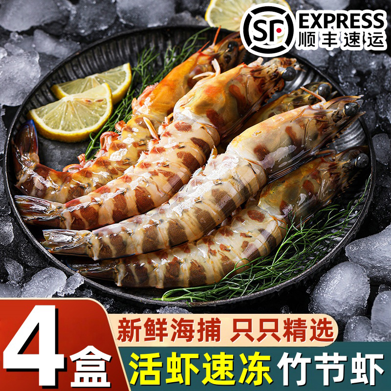 九节虾斑节虾鲜活冷冻超大基围虾