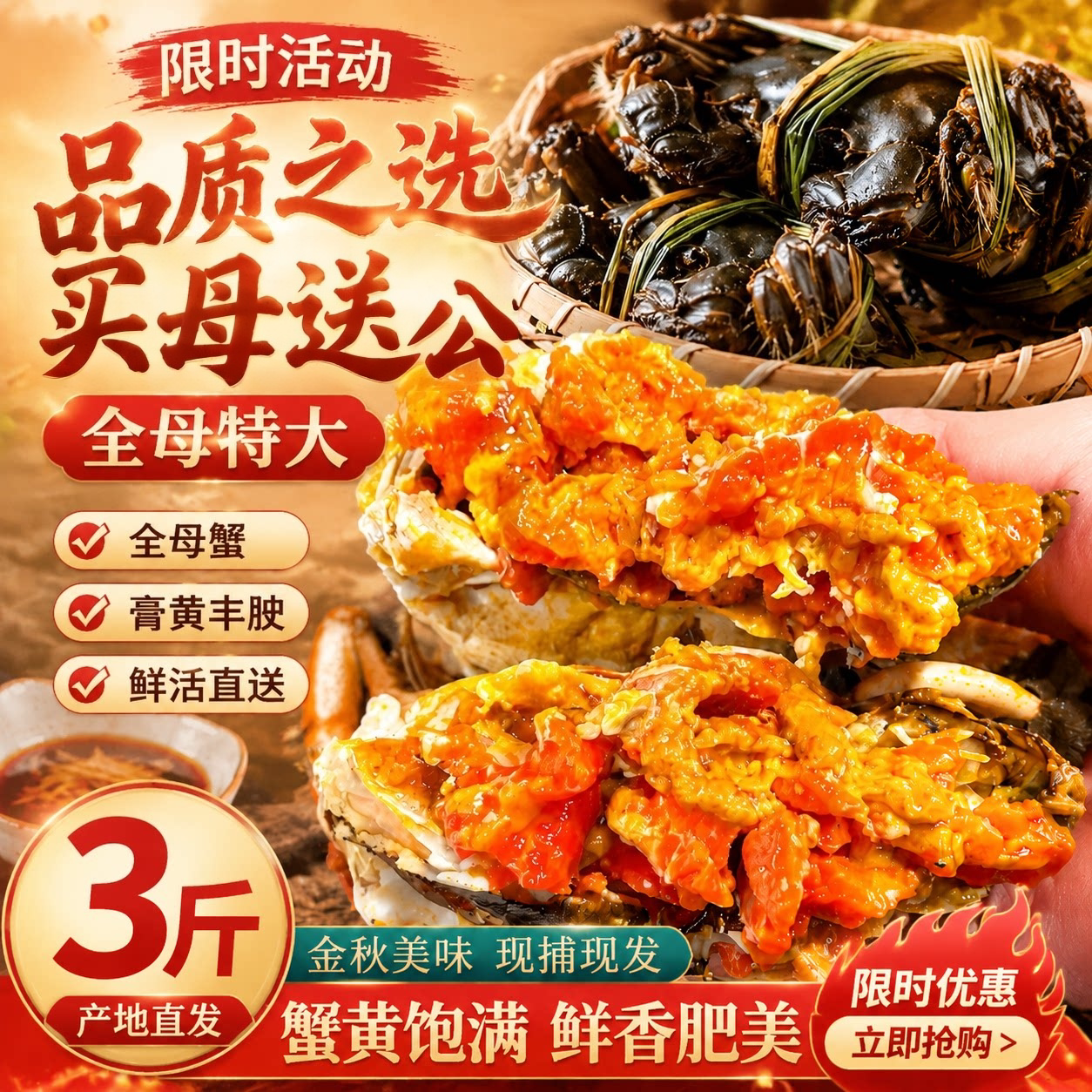全母蟹盘锦河蟹大闸蟹