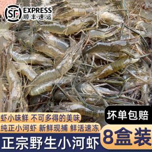 新鲜小河虾鲜活冷冻淡水虾水产小河虾青虾白虾对虾小虾批发商用