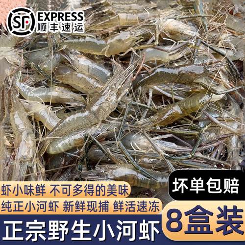 新鲜小河虾鲜活冷冻淡水虾