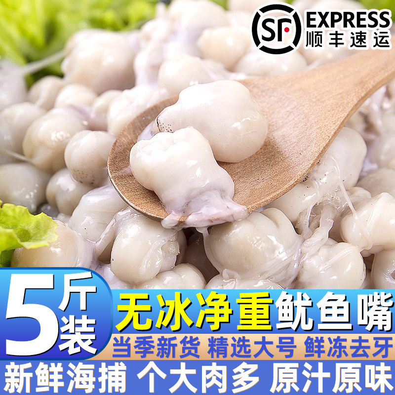 新鲜冷冻鱿鱼嘴烧烤海鲜
