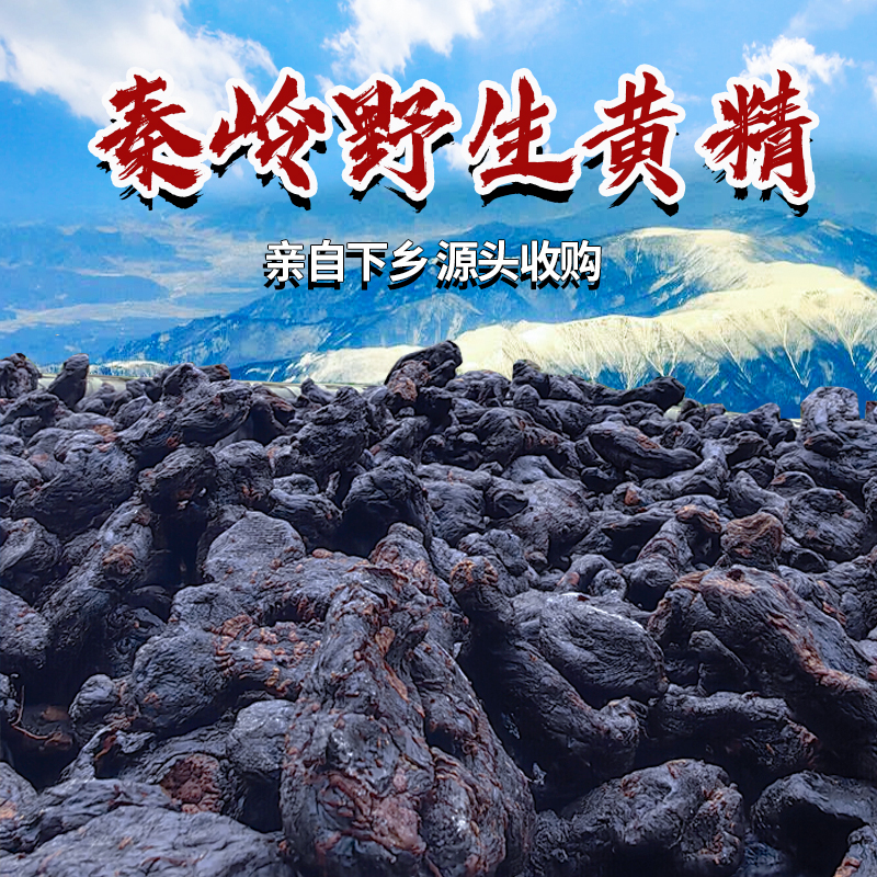 【九蒸九制】野生黄精古法传承