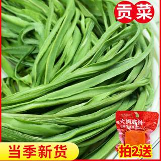 贡菜250g干货四川特产农家火锅食材新鲜苔菜干脱水蔬菜响菜贡菜干