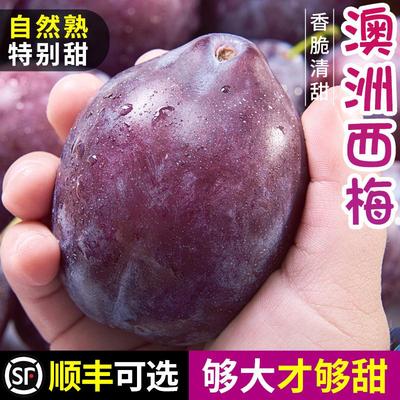 澳洲西梅李子新鲜水果整箱包邮当季时令红皮脆鲜果应季特产