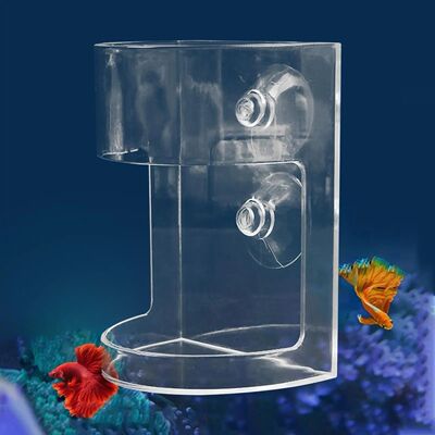 Non-Slip Aquarium Feeder Ring Fish Feeding Supplies Transpar