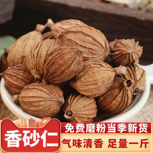 卤菜炖汤火锅去腥调料大全川砂仁