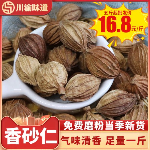 卤菜炖汤火锅去腥调料大全川砂仁