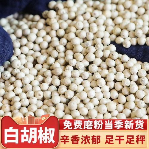 海南西餐煲汤烧烤调料白胡椒粉