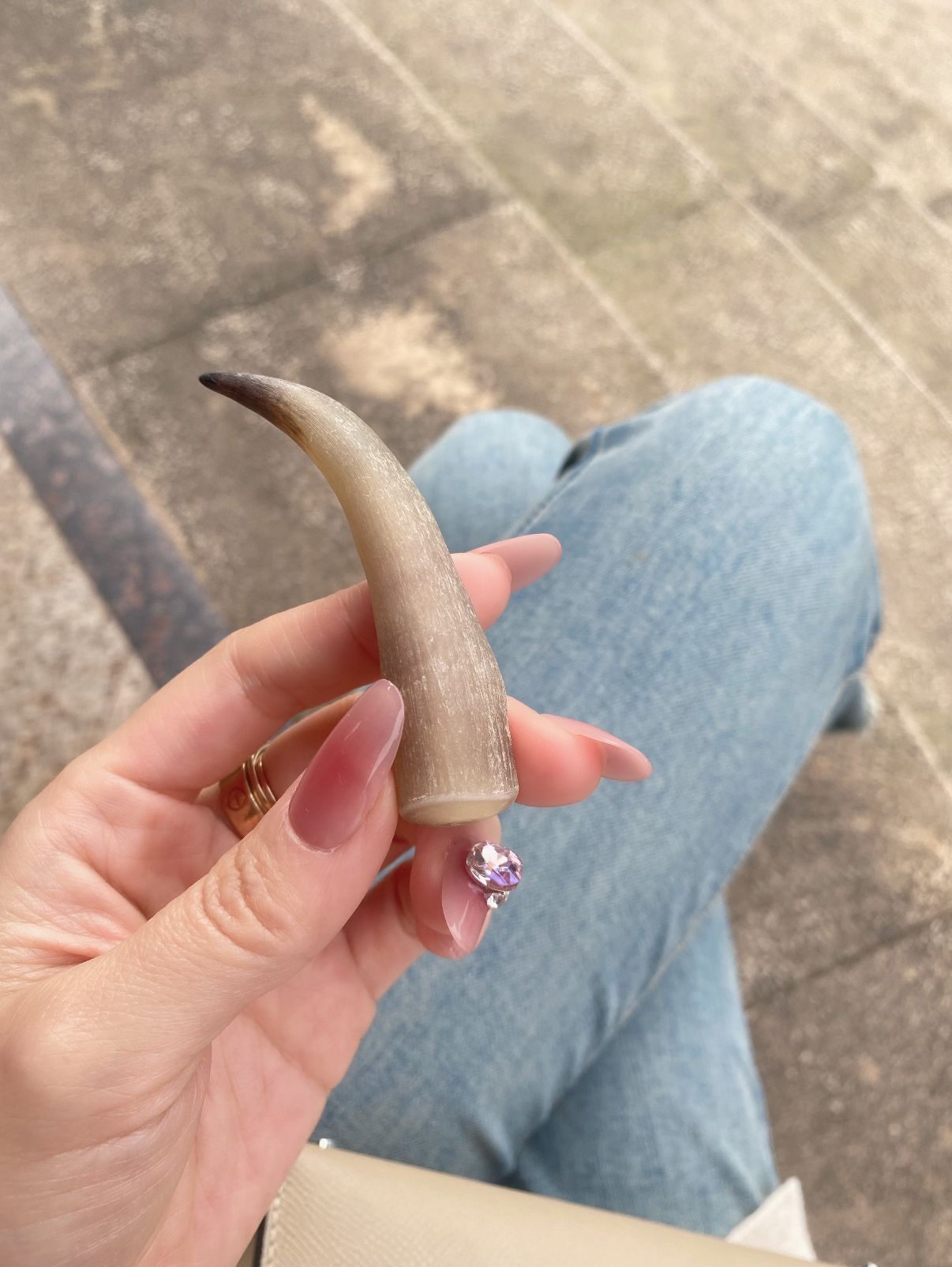 天然羊角整根羊角碎料段料珍藏可可西里西藏去丝粉中药材羚羊角图片