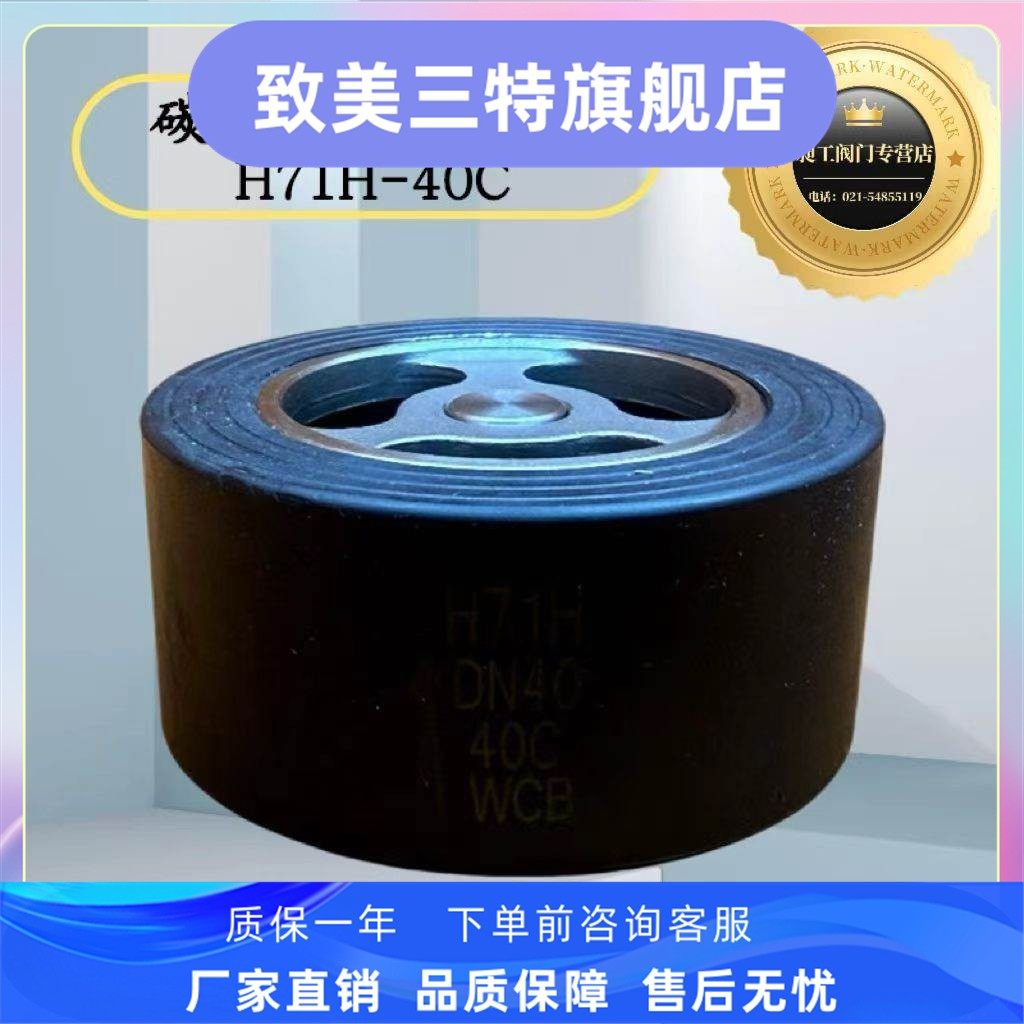 高温高压 对夹式止回阀 H71/2H-40C原装 碳钢止回阀 蒸汽锅炉专用,五金/工具,止回阀,淘宝优惠券,粉丝福利购,淘宝优惠卷