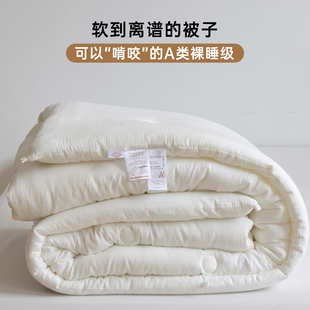 高端被子冬被加厚保暖棉被芯春秋被宿舍单人学生冬季 通用 被褥四季